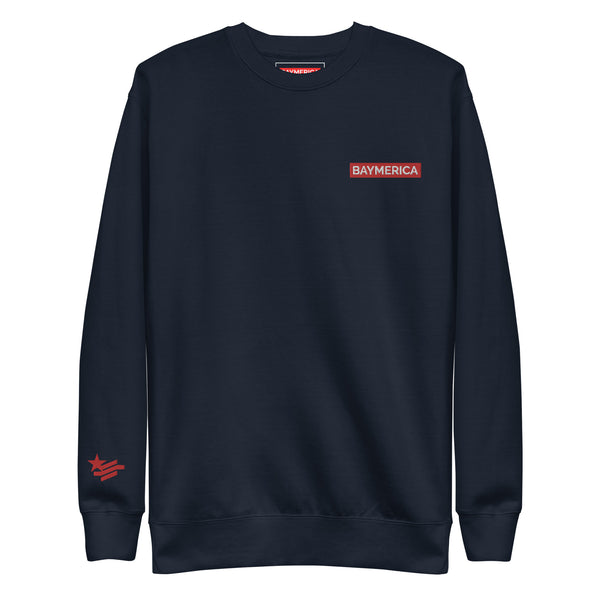 Baymerica Stripe Sweatshirt