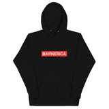 Baymerica Stripe Hoodie